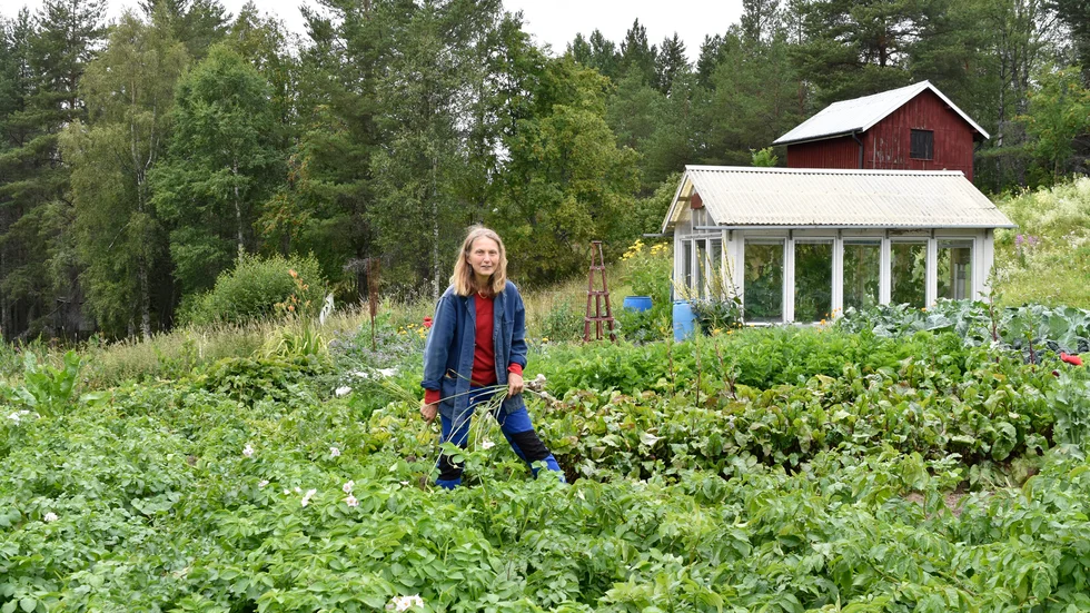 Gunilla står i sitt stora potatisland.
