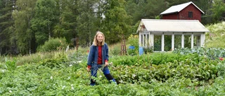 Så lyckades du bäst med dina grönsaker: Ursvikenbon Gunilla ger sina bästa tips