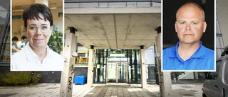 Yrkeselever hänvisade till teori