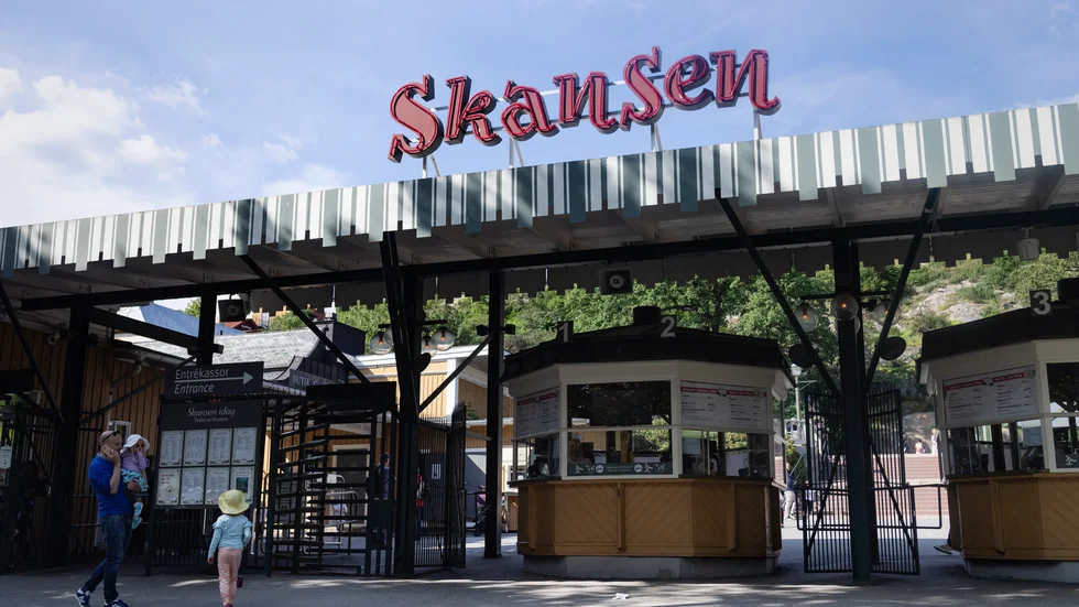 Skansen är en utmärkt institution men kan inte bevara mer än en bråkdel av vår historia.