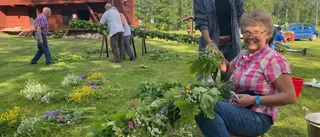 Midsommarstången är prydd och rest