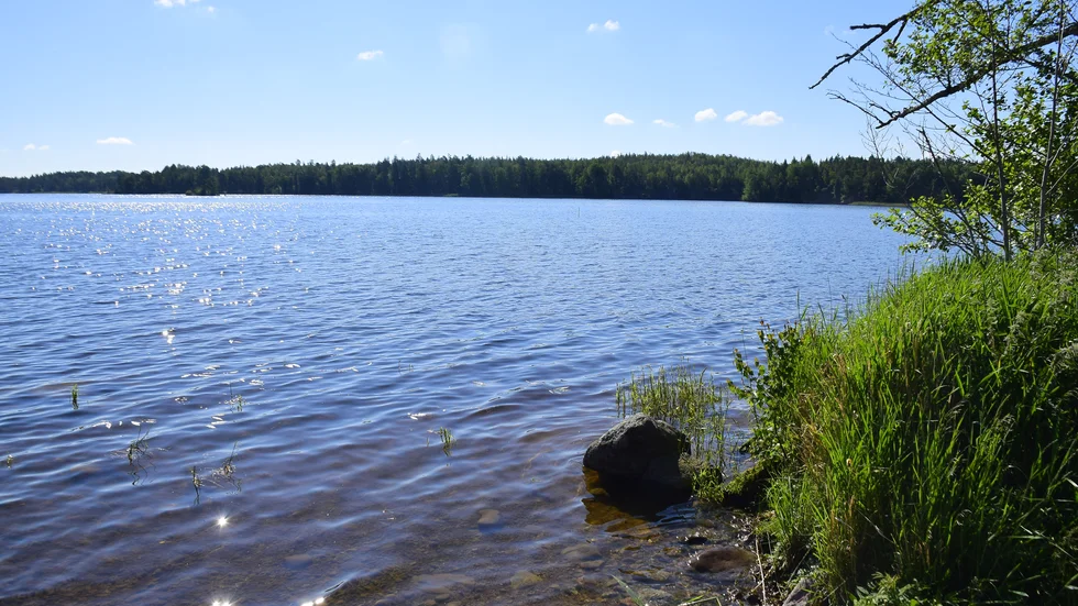 Yxern som ligger på gränsen mellan Västervik och Vimmerby kommuner är Kalmar läns allra största sjö. Med en torrsommar skulle sjöns yta ha kunnat halveras.