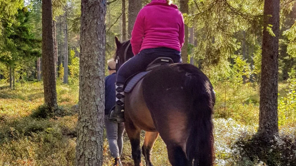 I dagsläget har Piteå ridklubb ett 20-tal ryttare med funktionsnedsättning. Projektet kan leda till ett ökat intresse, tror ridskolechef 
Eva-Lena Wikander.
