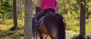 Ridklubben får pengar för skogssatsning
