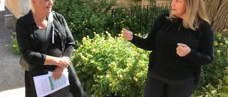 Så är kommunens nya grepp för landsbygden