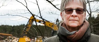 Stina Svensson Eklund: "Vemodigt se Skirtorp rivas"
