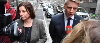 Miljöpartiets problem handlar om mer än krisen