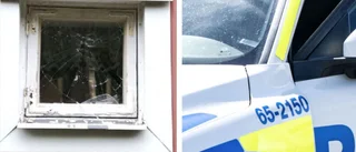 30-åring sparkade polis – föll till marken 