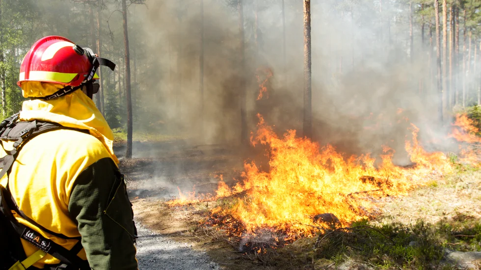 Räddsam Mälardalen uppmanar alla vara försiktiga med att elda i skog och mark även efter det att eldningsförbudet hävs.