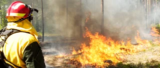 Risk för skogsbrand - men inget eldningsförbud