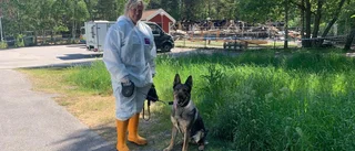Polishund markerade för brandfarlig vätska