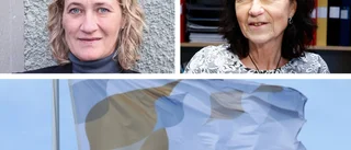 Leanlink: Besparingar på is efter coronautbrottet