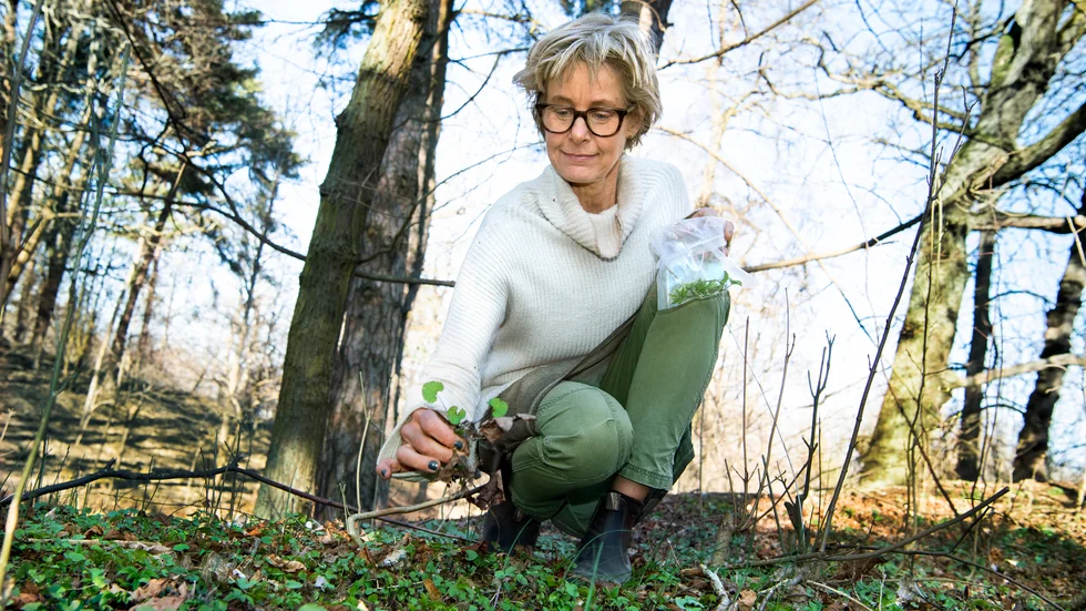 "Jag upptäckte själv hur läkande naturen var när jag blev utbränd för många år sedan. Det enda jag ville då var att vara ute i skogen", säger Lisen Sundgren.