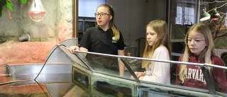 Skola med djur lockade på lovet