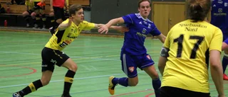 Tjugo lag i klassiska inomhuscupen