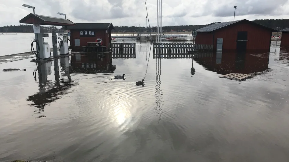 Även pumparna vid sjömacken står i vatten. Vid vinterklasen i Oxelösund är vattenståndet 63 centimeter över det normala.