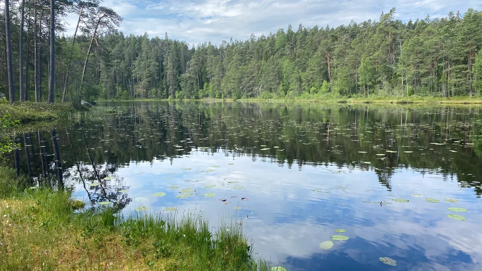 Länsstyrelserna har fått i uppdrag att föreslå nya Natura 2000-områden. Mellersta Götalands Jordägareförening anser att länsstyrelserna i Kalmar och på Gotland har gått alltför långt i sina strävanden.