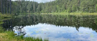 Nya Natura 2000-områden är hot mot landsbygden