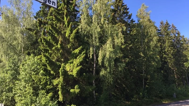 Området vid Kiselvägen i Bråstorp skulle kunna bli radhus i bostadsrättsform.