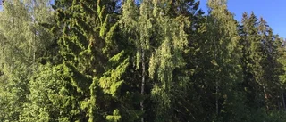De får utökat avtal för bostäder: "Vi tänker låghus"