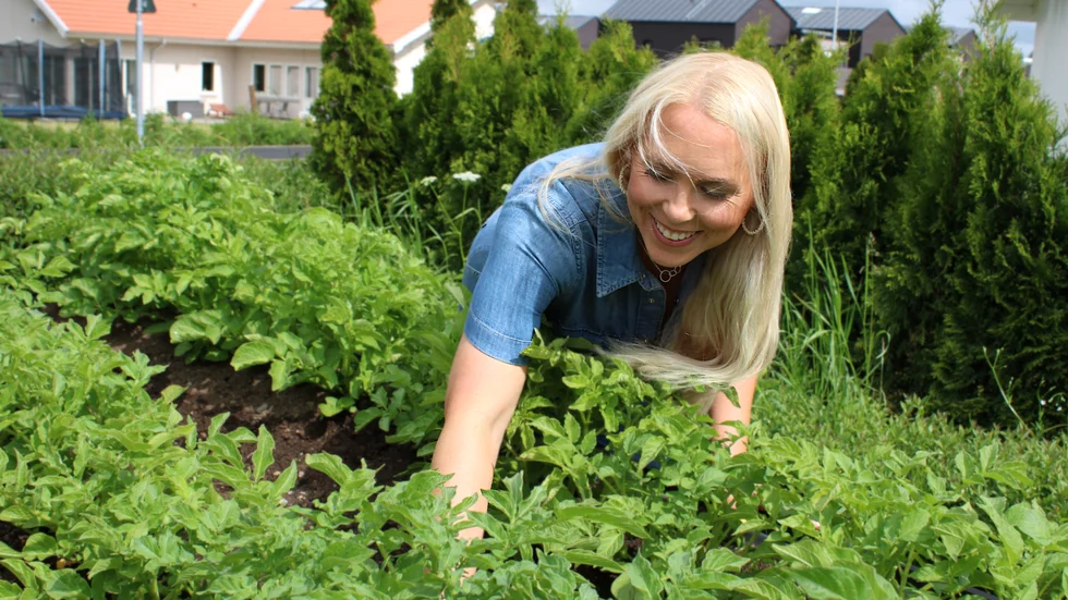Susanna Stern älskar att pyssla i trädgården som avkoppling. Här rensar hon i potatislandet.
