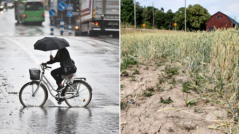 På tisdag och onsdag ser det ut att bli regnigt i Uppland, något som kan minska risken för markbränder.