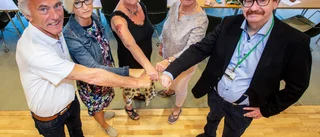 Stjernkvist - Ett stort engagemang som inte stöter bort