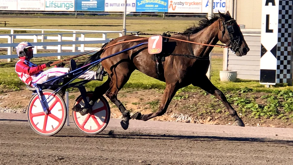 Tredje raka för Carioca. Och hennes tränare och kusk vann totalt fyra lopp under tisdagskvällen.