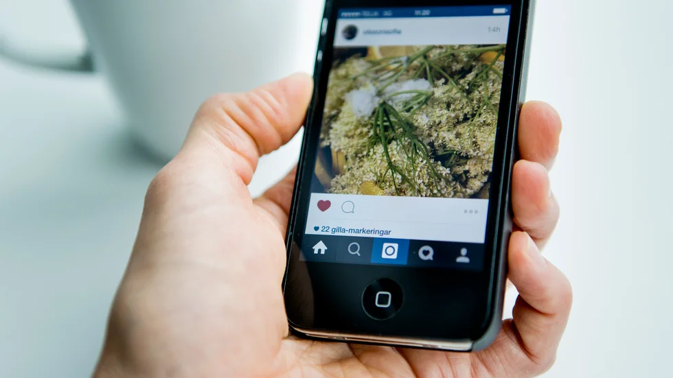  I Sverige har vi ett fenomen som kallas godhetssignalering. Det är viktigt att alla människor kan se hur extremt moraliskt duktig du är på sociala medier.
Skriver insändarskribenten.