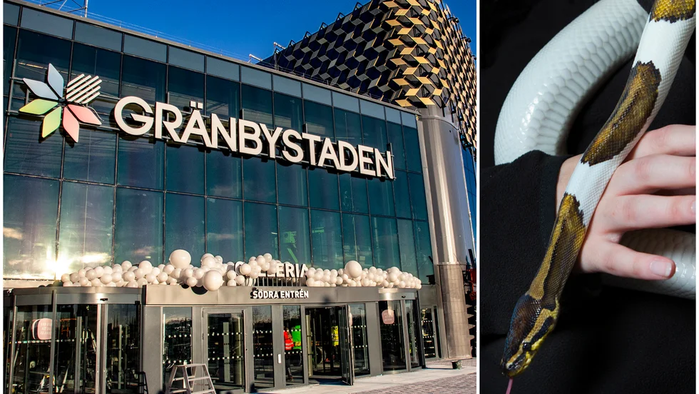 Ormen på bilden är inte den som mannen gick runt med i Gränby centrum.