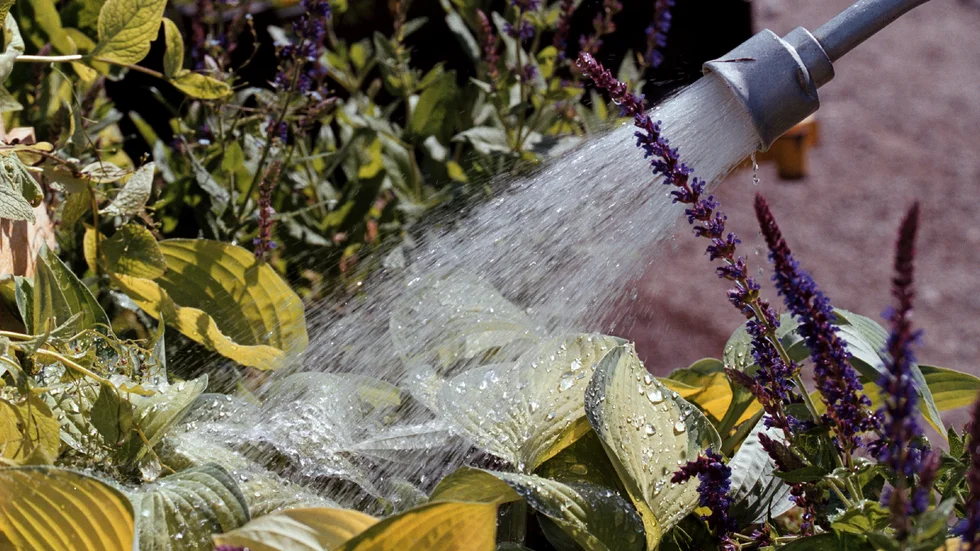 Insändarskribenten menar att jämföra vattningen av  kryddor med tusentals liter vatten till poolägarna blir lite underligt.