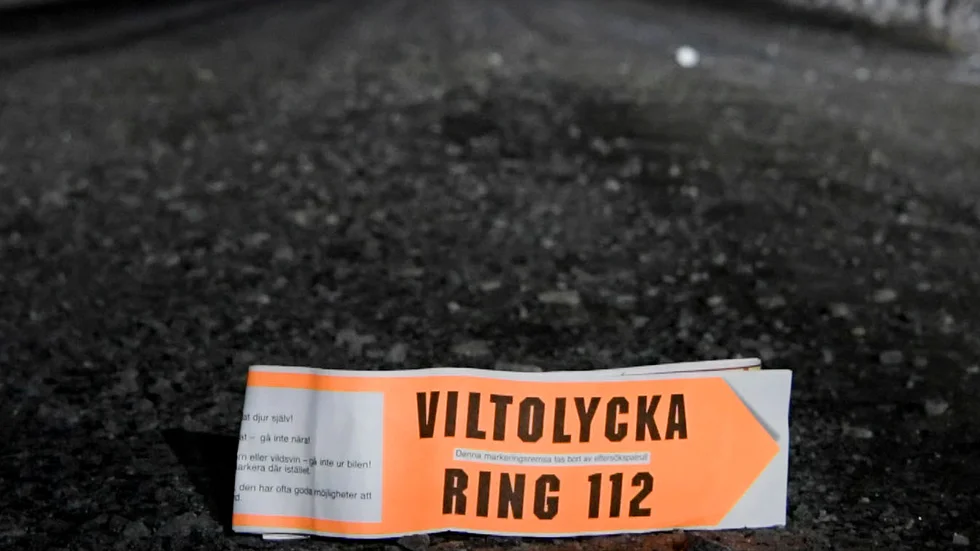 Bilden är tagen i ett annat sammanhang.