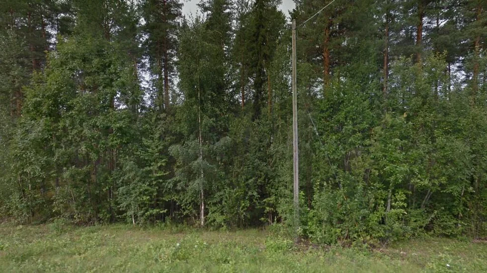 Borsnäsudden 17