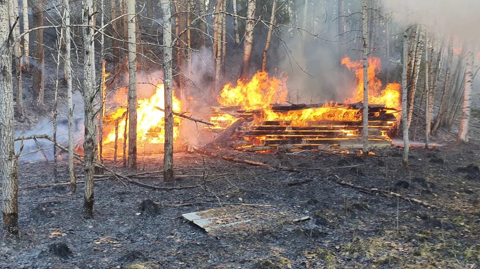 Full brand i skogen. Gräsbranden hotade flera av sommarstugorna.