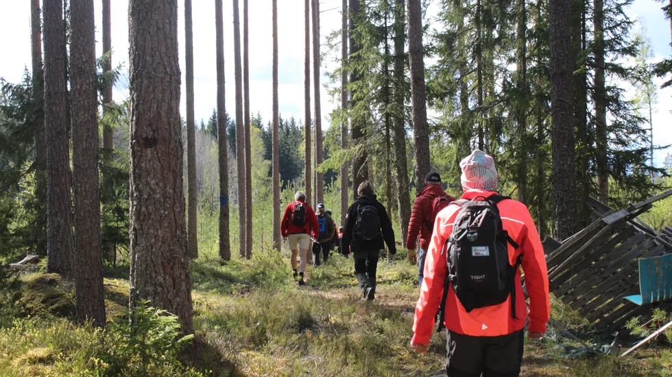 Vandra på någon av de vackra vandringslederna i norrbotten.