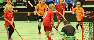 Piteåförening med ungdomslag på väg att läggas ner 