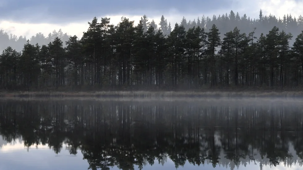 Klimatförändringen orsakas främst av en kraftigt förhöjd halt av koldioxid i atmosfären. (Arkivbild)