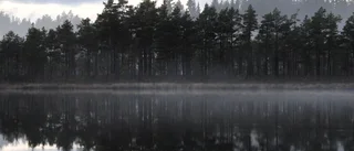 "Vi måste vända klimatförändringen"