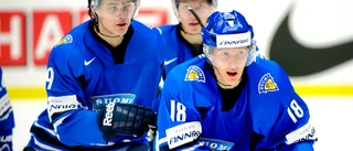 VIK bekräftar finska nyförvärvet