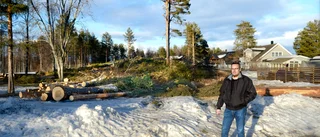Populär skogsdunge blev blixtavverkad