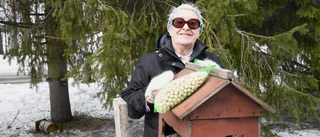 Krutgumman Gun Lehto, 85, i Pello älskar Zlatan
