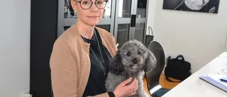 Sofia om skräcken med timret som möter dem