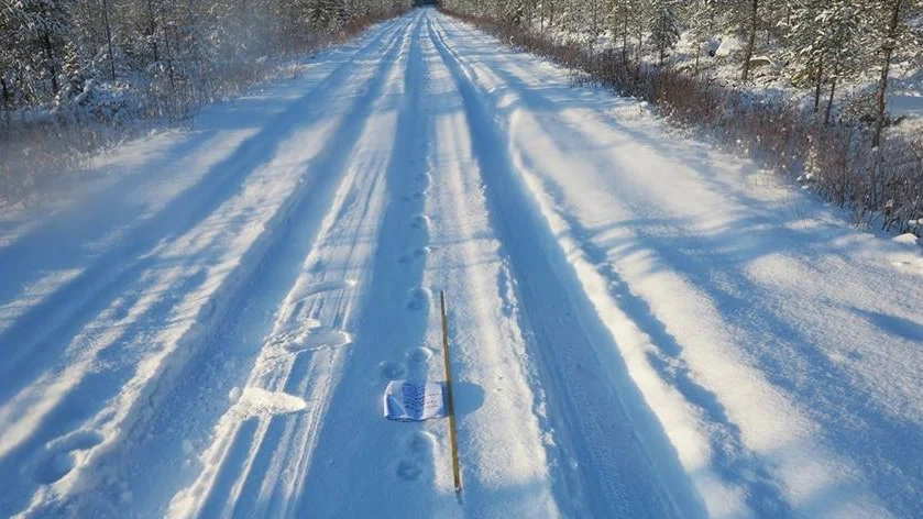 Här är vargspåren som upptäcktes i Bodens kommun. Spåren har dokumenterats som vargspår av länsstyrelsen. Foto: Länsstyrelsen. 