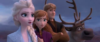 Fenomenet Frostpappor