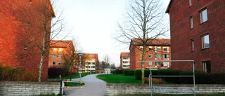 Hyresgästföreningen ber värdar tänka på förutsättningar