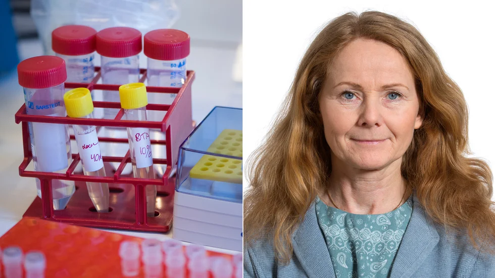 Ett tiotal länsbor har nu testats för misstänkt coronavirus. Alla prov hittills har varit normala, enligt Gunilla Persson, biträdande smittskyddsläkare. 