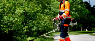 Högt tryck på feriejobb i Nyköping – 400 platser ska fyllas: "I år finns platser inom vård och omsorg"
