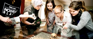 Så vill Gotlands Museum lösa krisen