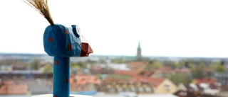 Har hon Linköpings skönaste utsikt?
