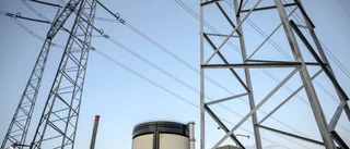 Blanda in kärnkraften i morgondagens energimix